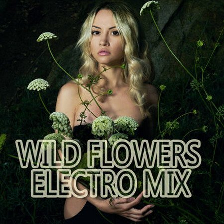Обложка Wild Flowers - Electro Mix (2015) MP3