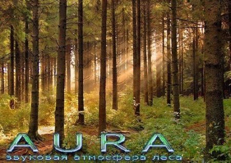 Обложка Аура / Aura 2.8.5b.194 Portable MULTi/RUS