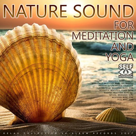 Обложка Nature Sound For Meditation And Yoga (2017) MP3