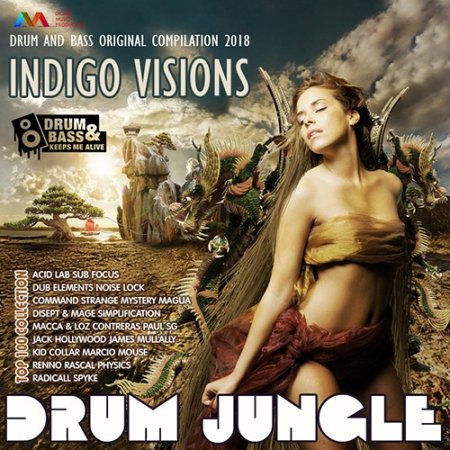 Обложка Drum Jungle: Indigo Visions (2018) Mp3